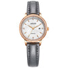 FRANCE Women's Watches Luxury Brand AILUO Japan Automatic Mechanical Wristwatch Women Zircon Sapphire Crystal Waterproof A6111