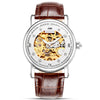Switzerland Nesun Skeleton Watch Men Luxury Brand Automatic Self-Wind Men's Watches Sapphire Crystal Waterproof clock N9501-4