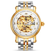 Switzerland Nesun Skeleton Watch Men Luxury Brand Automatic Self-Wind Men's Watches Sapphire Crystal Waterproof clock N9501-2
