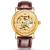 Switzerland Nesun Skeleton Watch Men Luxury Brand Automatic Self-Wind Men's Watches Sapphire Crystal Waterproof clock N9501-2